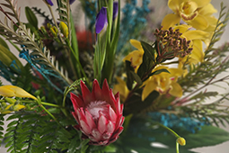 Deur Die Blare Floral Art Gallery
